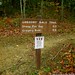 Gregory Parsons Photo 15