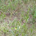 Barbara Butner Photo 11