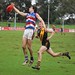 Pat Mccarthy Photo 19