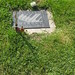 Robbie Williamson Photo 16