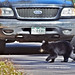 Daryl Cross Photo 20