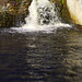 Joseph Rawson Photo 12