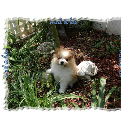 Susan Nappi Photo 2