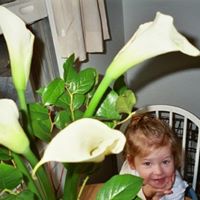 Alison Clemens Photo 15