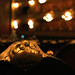 Renee Horne Photo 19