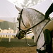 Sonya Hunt Photo 27