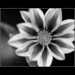 Alejandro Corres Photo 8