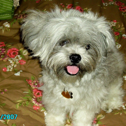 Alicia Albritton Photo 1