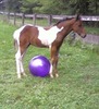 Janet Skerry Photo 8