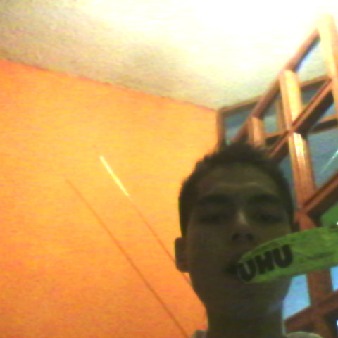 Gerson Guzman Photo 27