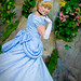 Stephen Boos Photo 17