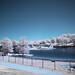 Stephen Lake Photo 37
