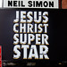 Neil Simons Photo 24