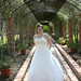 Alison Wells Photo 10