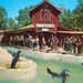 Donald Seals Photo 2