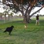 Jose Zepeda Photo 10