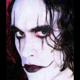 Robert Roper Photo 9