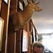 Russell Deer Photo 7