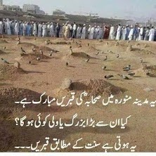 Syed Hameed Photo 31