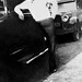 Carl Powell Photo 17
