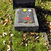 Carl Schaefer Photo 23