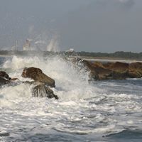 Carl Shelton Photo 26