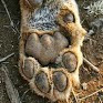 Tracey Peters Photo 14