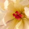Kathleen Waters Photo 33