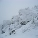 Cliff Webster Photo 8
