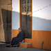Erick Ramirez Photo 14