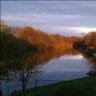 Ann Mckee Photo 23