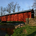 Ann Poole Photo 24