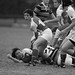 Regina Stanford Photo 15