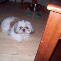 Delores Grant Photo 9