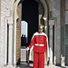 Mohammed Hassan Photo 9