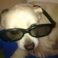 Buddy Neal Photo 7