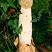 Jan Wald Photo 9
