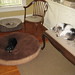 Jon Colburn Photo 11