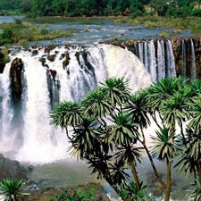 Liseth Lopez Photo 8