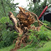 Evelyn Garrison Photo 20