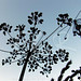 Ross Newton Photo 35