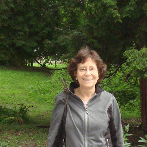 Susan Bernstein Photo 45