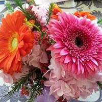 Michele Chaney Photo 10