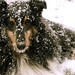 Cody Tanner Photo 28