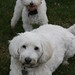 Jake Sampson Photo 15