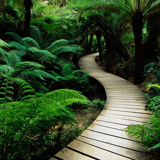Libby Parker Photo 33