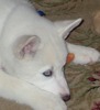 Rick Shultz Photo 33