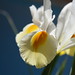 Linda See Photo 10