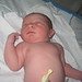 Daniel Cochran Photo 16