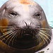Maria Seals Photo 15